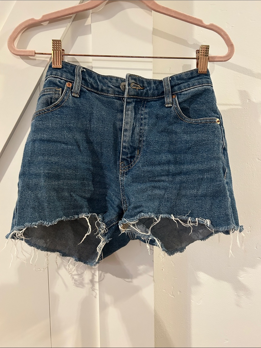 wild fable Dark Blue Jean Shorts